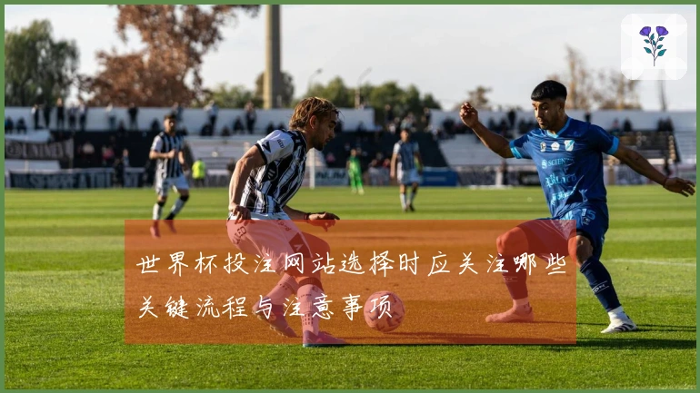 世界杯投注网站选择时应关注哪些关键流程与注意事项