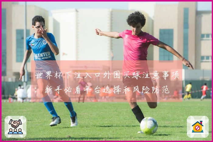 世界杯下注入口外围买球注意事项:新手必看平台选择和风险防范